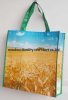 2011 new non woven bag