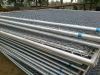 galvanized guarding wire mesh