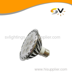 LED PAR30 Lamp