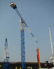 Supply New China P100(QTP5515) 8T Self-Erecting Topless Tower Crane