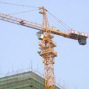 Supply New China QTZ31.5(TC4206) 3T Self-Erecting Tower Crane