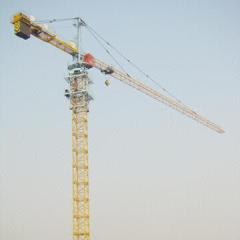 Supply New China QTZ31.5(3808) 3T Self-Erecting Tower Crane