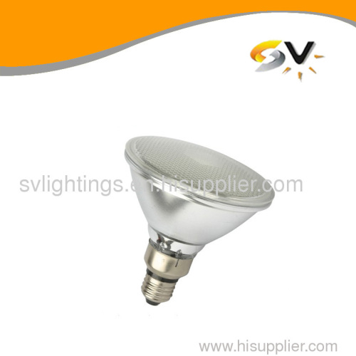 LED PAR38 Lamps