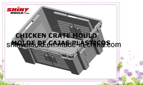 chicken crate mould/mold de cajas para pollo