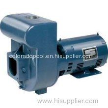 Pentair Pool Products Inc. DMJ-172 Series D 5 HP 1 Phase Pump