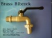 Brass bibcock