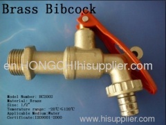 brass bibcock tap