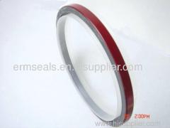 OEM:3020183/3004317 CUMMINS(NT85) PTFE OIL SEALS