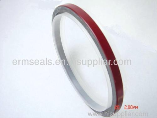 OEM:3020183/3004317 CUMMINS(NT85) PTFE OIL SEALS