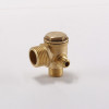 brass check valve