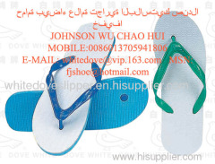"White-Dove " plastic slipper 811 6