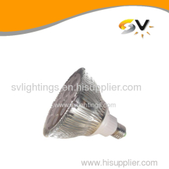 LED PAR38 Lamp