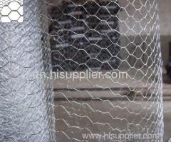 galvanized chicken wire mesh