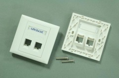 Dual Port UK Wall Plate