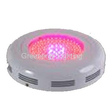 LED Plant Grow Light