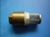 Brass cheak valve Brass filter