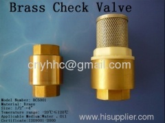 Brass cheak valve Brass filter