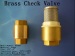 Brass cheak valve Brass filter