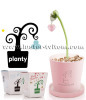 planty