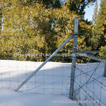 galvanized cattle fences