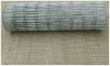 Galvanized welded wire mesh