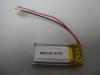 Polymer Battery