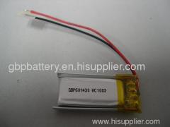 Polymer Battery