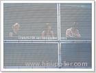 stainless steel square wire mesh (filter screen)