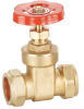 Gate Valve