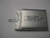 Polymer Battery