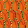 PVC Hexagonal wire netting