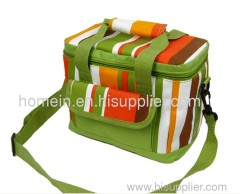 disposable cooler bag