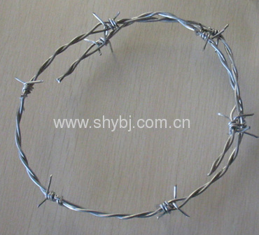 barbed wire