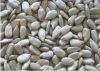 Sunflower Seed Kernels Bakery Grade