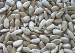 Sunflower Seed Kernels Bakery Grade