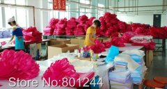 Guangzhou Tailai Packing Bag Co.,Ltd