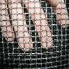 Crimp wire mesh - Stainless Steel Wire Mesh,Dutch wire cloth ] wire mesh