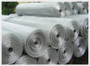 Galvanized Welded wire netting