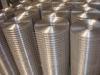 Stainless Steel Wire Mesh,Welded ] wire mesh