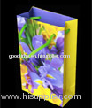 Colorful standard gift bag