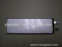 Polymer Battery