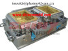 Shiny Mould-2 Cavity Crate Moulds
