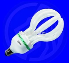 lotus energy saving lamps