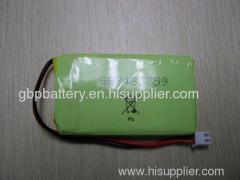 Polymer Battery