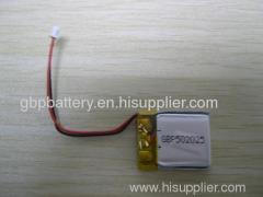 Polymer Battery