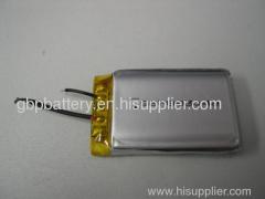 Polymer Battery