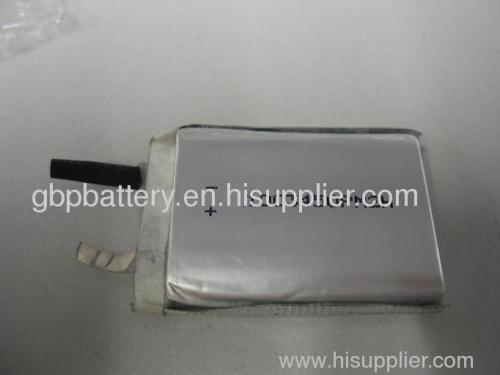 Polymer Battery