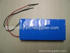 Polymer Battery