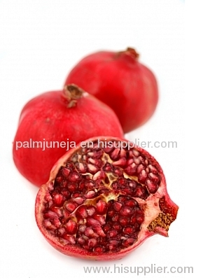 Pomegranate Juice Concentrate