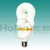 induction lamp of self-ballasted lamp